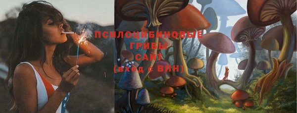 хмурый Армянск