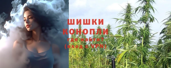 дурь Арсеньев