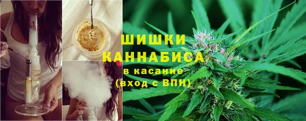 каннабис Аркадак