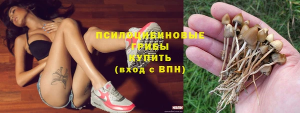 дурь Арсеньев